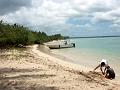 25 - Mangrove 031